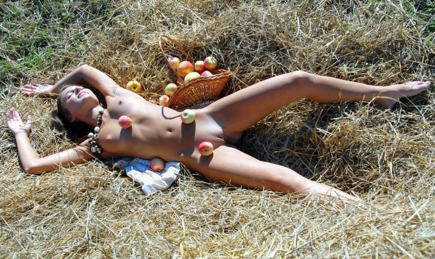        ,     ,   ,  